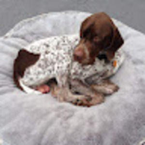 Meet your Posher, Logann